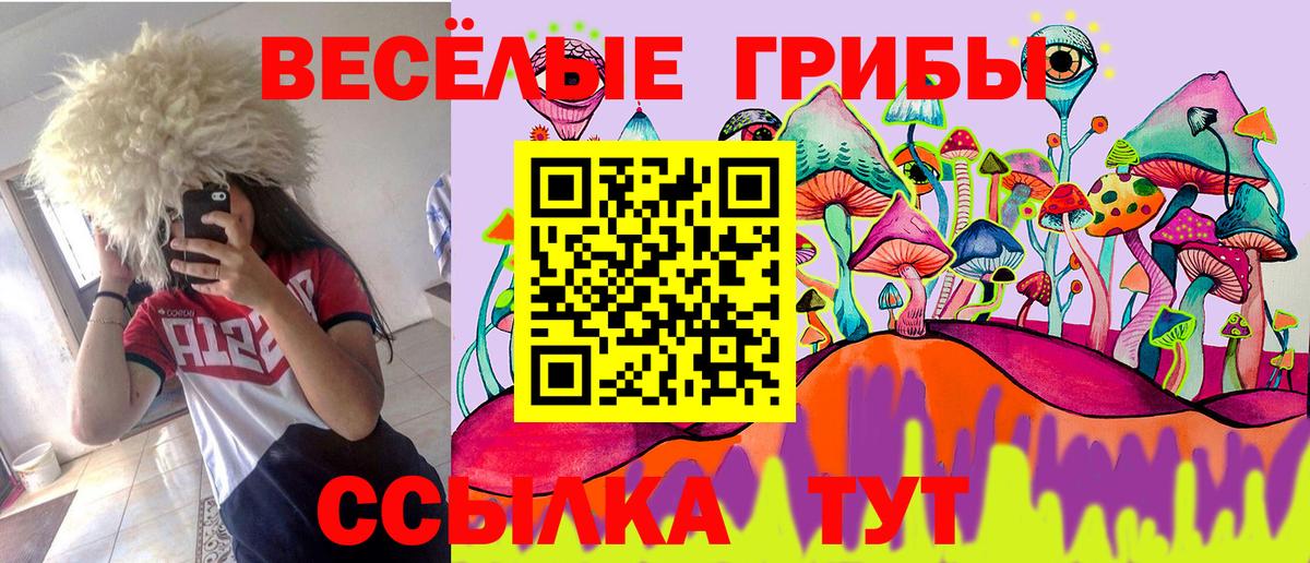 Галлюциногенные грибы Psilocybine cubensis Карпинск